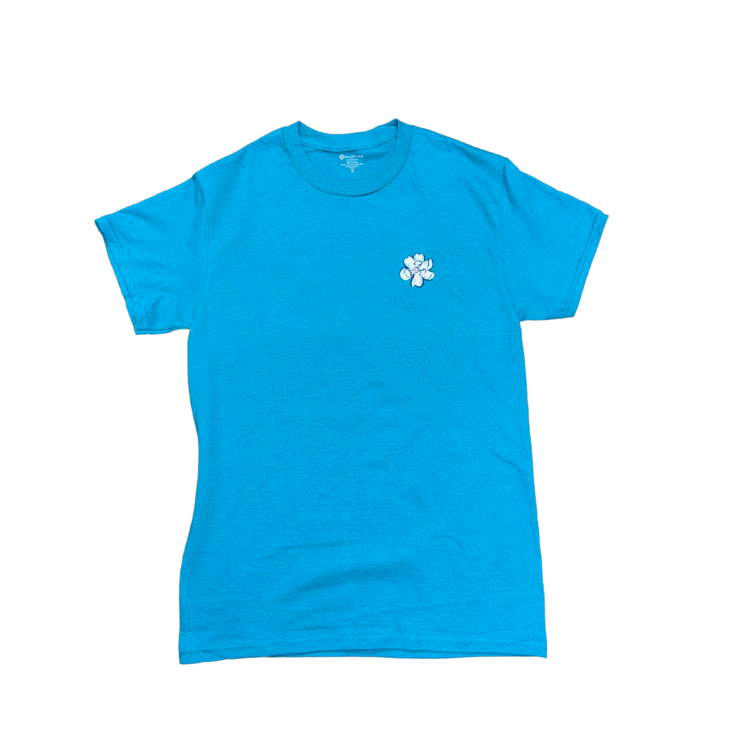 "Ain't Got A Lick Of Sense" T-Shirt