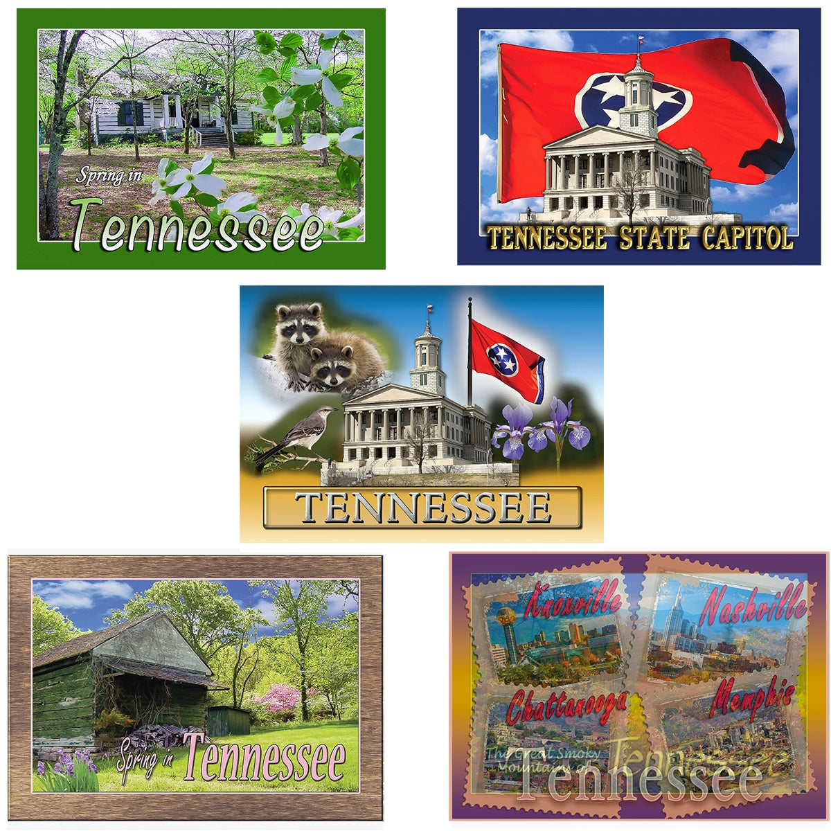 Tennessee Postcard Set (10 different Images)