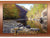 Tennessee Postcard - "Trees and Stream" (10 Cards)