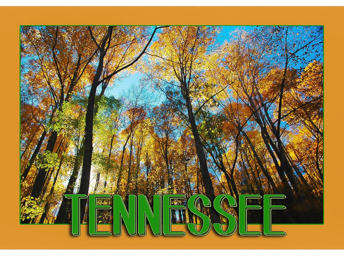 Tennessee Postcard - "Colorful Fall Trees" (10 Cards)