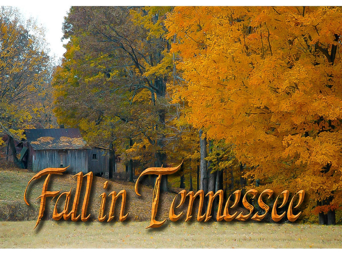 Tennessee Postcard - "Fall in Tennessee" (10 Cards)