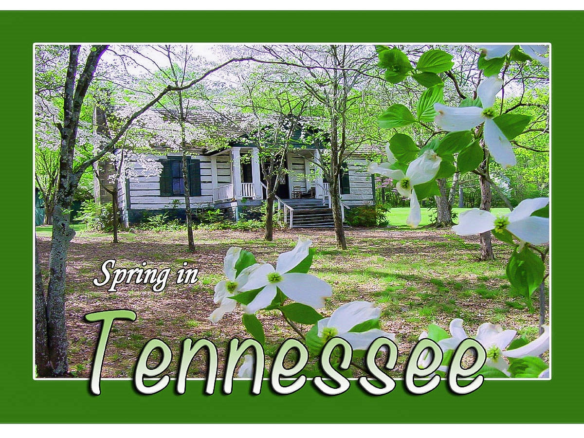 Tennessee Postcard - "Spring in Tennessee" (10 Cards)