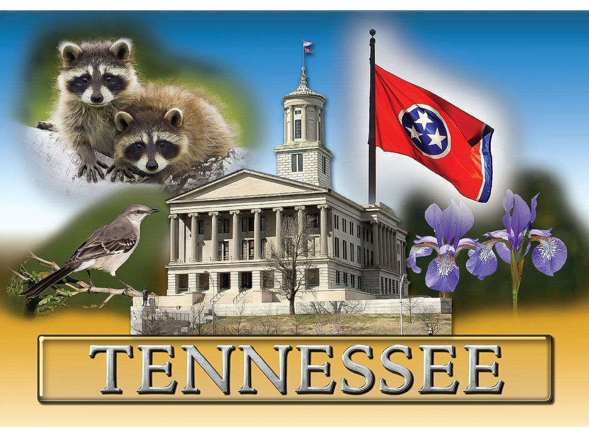 Tennessee Postcard - "Tennessee State Symbols" (10 Cards)