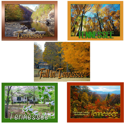 Tennessee Postcard Set (10 different Images)