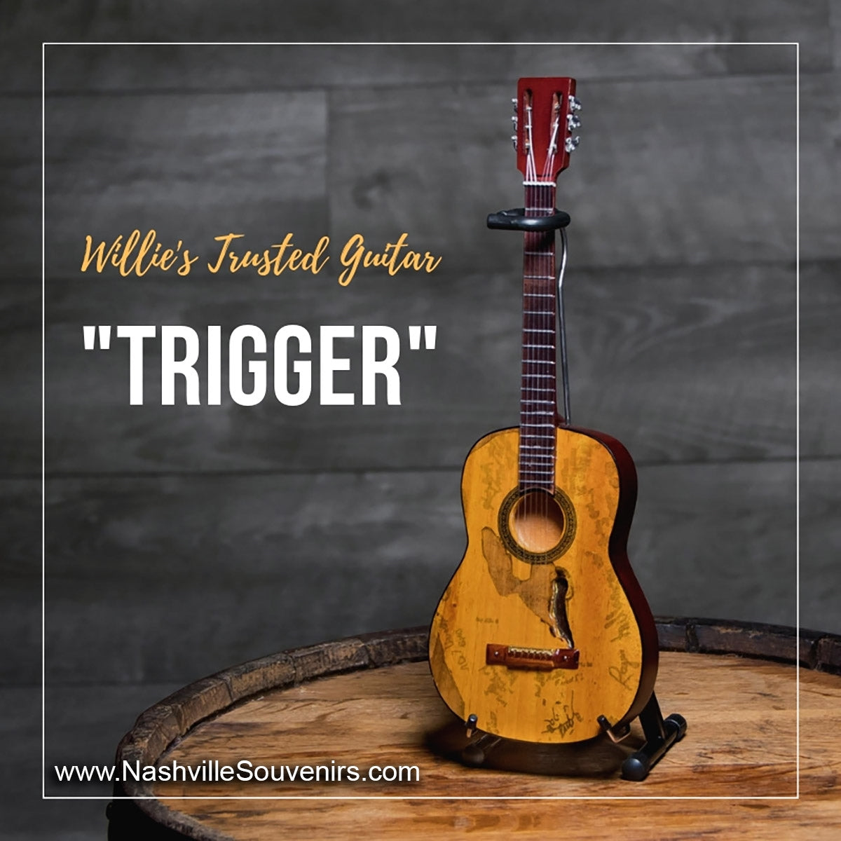 Willie Nelson Guitar